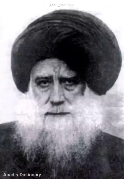 سید حسن صدر